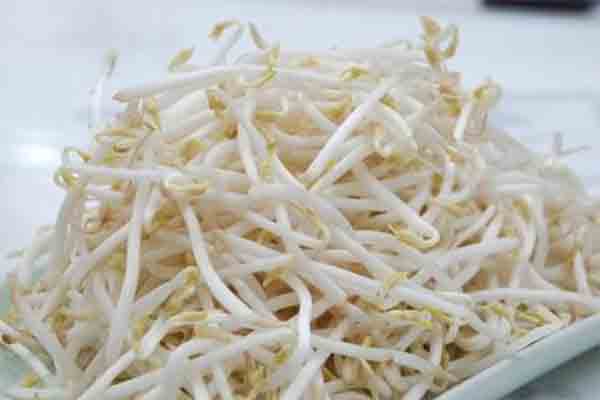 Giá đỗ chữa trị táo bón